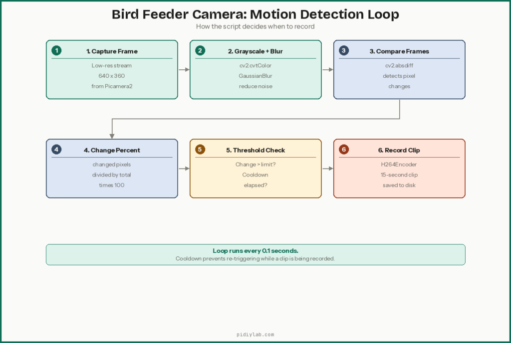 Bird camera detection loop for How to Build a Raspberry Pi Bird Feeder Camera with Motion Detection